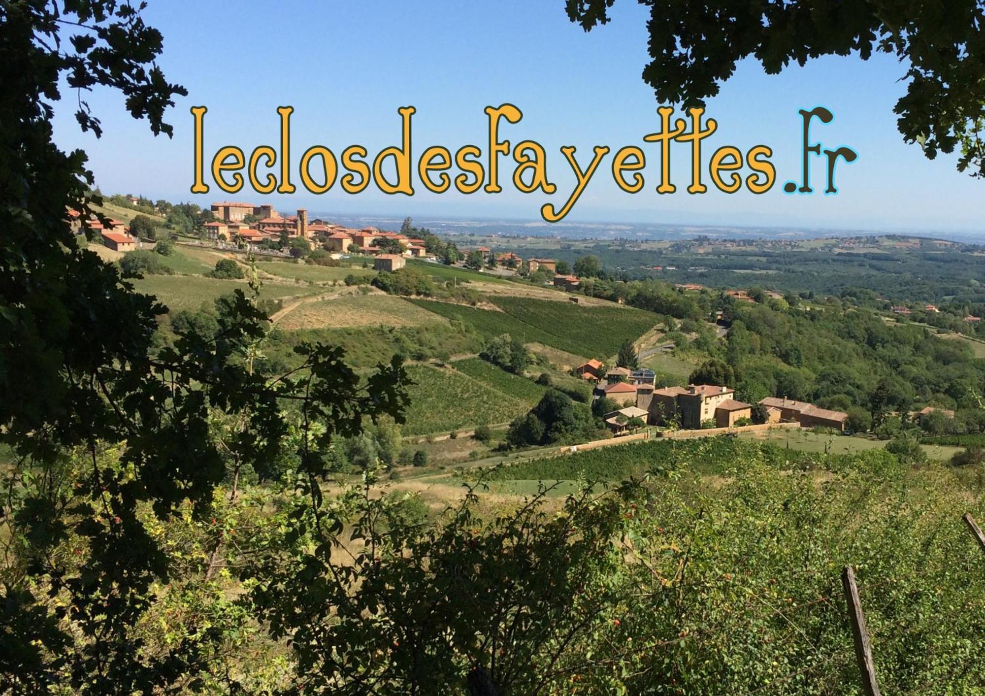 Le Clos Des Fayettes Theize المظهر الخارجي الصورة