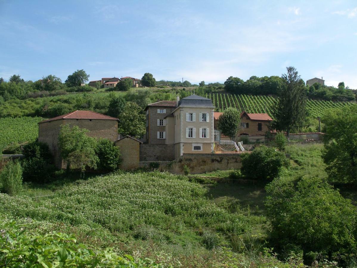 Le Clos Des Fayettes Theize المظهر الخارجي الصورة